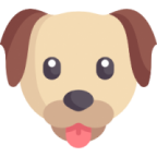B_Dog аватар